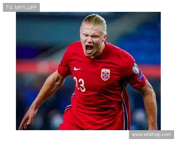 哈兰德仅用46场便打进挪威成年队第50球 超越历史传奇成队史最快射手