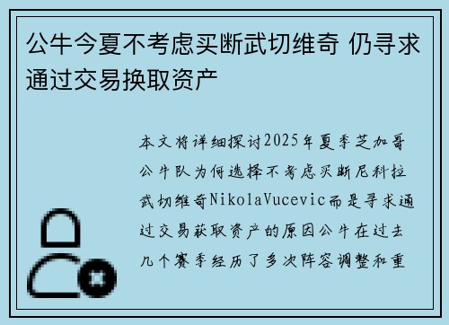 公牛今夏不考虑买断武切维奇 仍寻求通过交易换取资产